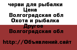 черви для рыбалки › Цена ­ 25 - Волгоградская обл. Охота и рыбалка » Другое   . Волгоградская обл.